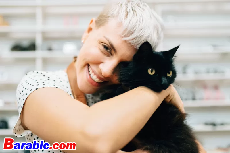 23 سلالة جميلة من القطط السوداء التي تصنع رفقاء رائعين